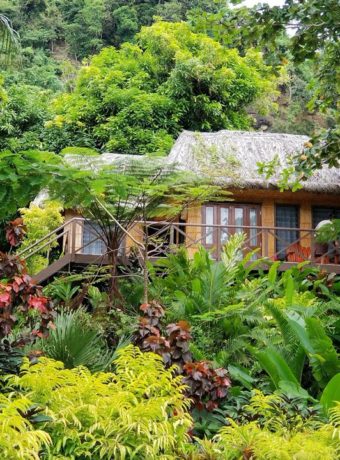 Tropical Treehouse