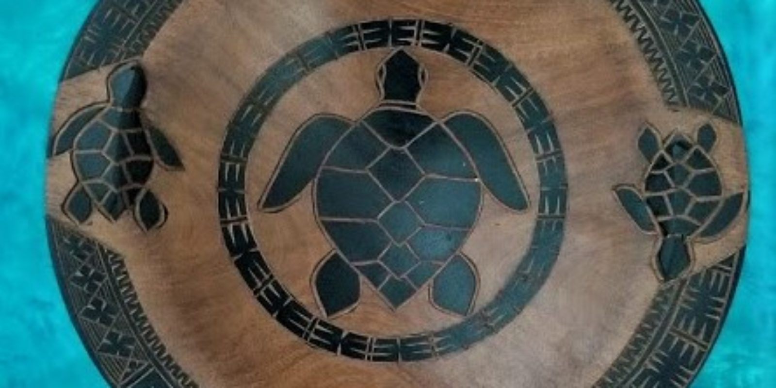 Turtle Kava Bowl