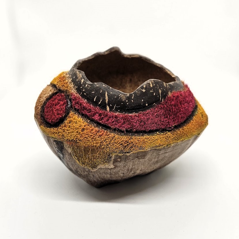 Coconut Husk Bowl